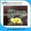 vaccum food packing bag for meat,tea, fruit