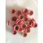 Full Ceramic idler pulley