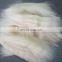 Chinese sheep wool open tops 19.5mic/45mm for woollen spinning