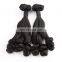 The best Mix Color Princess Curl Double Drawn Virgin Remy Brazilian Human Hair Weavon