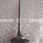B3.3 Engine Parts Intake Valve 6207414110 6207414130