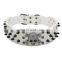 Black Skull Rivet Pet PU Collar Leather Leash Training Dog Rope Pet Neck Chain Pet Supplies
