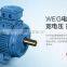 WEG 11KW IE3 three phase electric motor