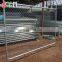 Temporary Fence Panel For Construction Metal Barrier Crowd Control