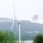 Factory Power Small Wind Turbine1kw