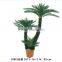 small artificial plant artificial verdant cycads plant