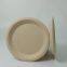 Disposable biodegradable plate