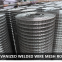 Stainless Steel 304 316 welded Wire mesh panel and rolls. high quality competitive price BOLI WELDED MESH