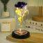 Led Galaxy 24k Gold Eternal Rose Light Up Rose Flower Gift Glass Dome Flower Lamp For Home Christmas Decorative Holiday Lighting