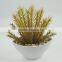 Office desk decoration newest design artificial plants with reasonable price
