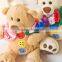 Plush Bear Toy Holding Heart and Flowers / Plush Bear Toy Sitting High 12cm/Soft Stuffed Bear Holding Heart Embroided Mummy