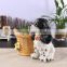 "pinsun" lovely dog shape style ceramic flower pot,flower pot