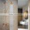 Surface Mounted Rose Golden Solid Brass Exposed Shower SM007B