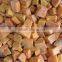 frozen vegetable diced pumpkin