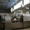 DPP-250Z Capsule Blister Packing Machine
