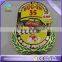 custom Cloisonn imitation synthetic hard enamel gold car pin badge