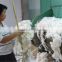 Good quality design industrial sheep wool washing machine