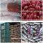 Chinese silihong red skin peanuts