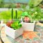 mini artificial succulent plants for home decorating