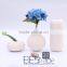 for Home Decor Mordern Art Design Lacquer Ceramic Vase