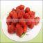 Wholesale Fresh Frozen Strawberry