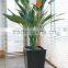 All kinds Big leaves Artificial Bonsai Plant