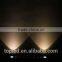 Popular LED Matrix COB Light, Pixel Bar Light, 10pcs, white color