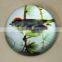 decoration new design paperweight
