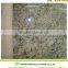Various Granis Giallo Granite Colors For Building Material