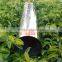 2 inch aisi316l Stainless Steel Pipe with best quality