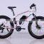 Easy-go 350w brushless(8fun) electric bicycle motor with 36v Samsung battery pass EN15194 certificate
