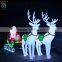 Outdoor Motif Acrylic Reindeer Sleigh Light
