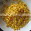 New Crop Canned Foods / Canned whole kernel corn 425g