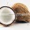 Indian coconuts for sales