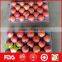 Organic red honey and crispy fuji apples