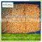 iqf/frozen apricot diced