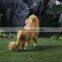 unstuffed big head plush roaring lion toys
