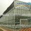 Multi Span Glass Greenhouse for Tomato Production