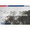 Cast Steel Shot with high quality made in China for cleaning surface
