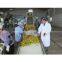 Mango processing line