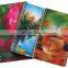 Eco-friendly Custom 3d Classmate Planner Printing Notebook