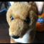 OEM ODM 35CM Plush Fox  With PP Cotton Inside Stuffed Animal Toy