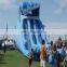 Wholesale prices outdoor large inflatable water dry slide for adult Hight quality