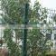 3D Curved Fence