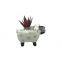 cute cartoon custom animal sheep shaped ceramic planter succulents plant flower pot
