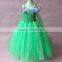 Fever Inspired New Elsa Summer Dress Fancy Dress Costume 2015                        
                                                Quality Choice
