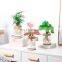 Transparent Hydroponic Flower Pot Imitation Glass Soilless Planting Potted Green Plant Resin Flower Pot Home Vase Decor