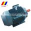 Y2 high speed three phase induction motor