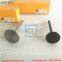 C7.1 engine valve intake T423393 For CAT aftermarket