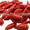 Goji Berry From China, Good Price Goji Berry